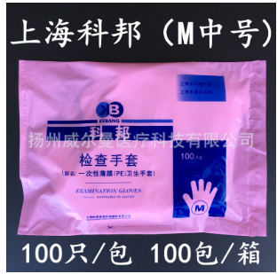 上海科邦薄膜手套加厚PE手套一次性檢查手套醫(yī)用手套 L 大號