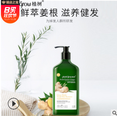 洗護用品生姜柔潤發(fā)絲洗發(fā)水 批發(fā)鮮萃姜根油洗發(fā)露