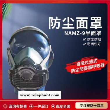 防毒半面具 ANMZ-9 半面具防毒口罩 雙過濾器半防毒面罩