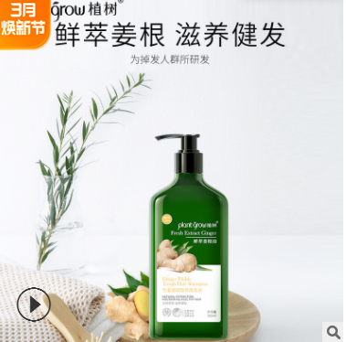 洗護(hù)用品生姜柔潤(rùn)發(fā)絲洗發(fā)水 鮮萃姜根油洗發(fā)露廠家批發(fā)