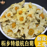 批發(fā)散裝桐鄉(xiāng)杭白菊新貨源頭工廠散貨菊花茶代工產(chǎn)地直銷