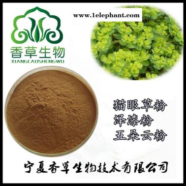 貓眼草粉80-120目 **貓眼草浸膏粉 澤漆粉原料粉現(xiàn)貨