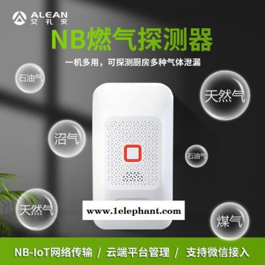 艾禮安NB-IOT燃?xì)馓綔y(cè)器 NB燃?xì)鈭?bào)警器 家用可燃?xì)怏w探測(cè)器