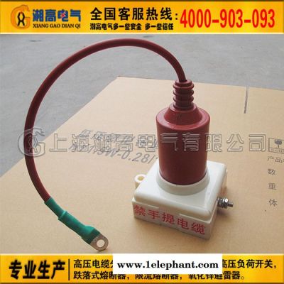 電機(jī)中性點(diǎn)保護(hù)用TBP-O過電壓保護(hù)器 電機(jī)中性點(diǎn)保護(hù)器TB