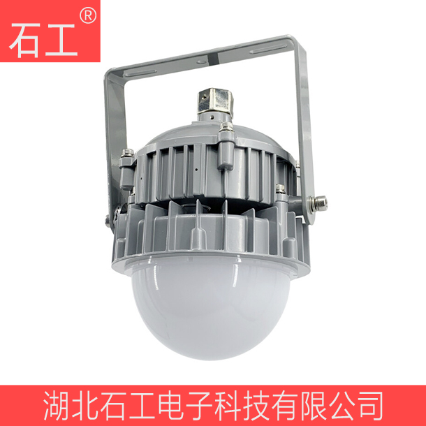 防水防塵防腐燈\NFC9190彎桿式 30W 220V\海洋王（含安裝附件）