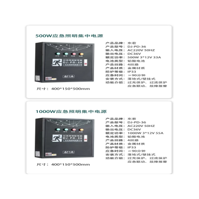 長沙東君DJ-C-2020應急照明控制器廠家批發(fā)